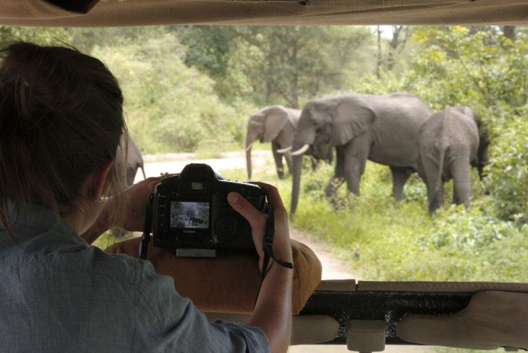 Lake Manyara safari